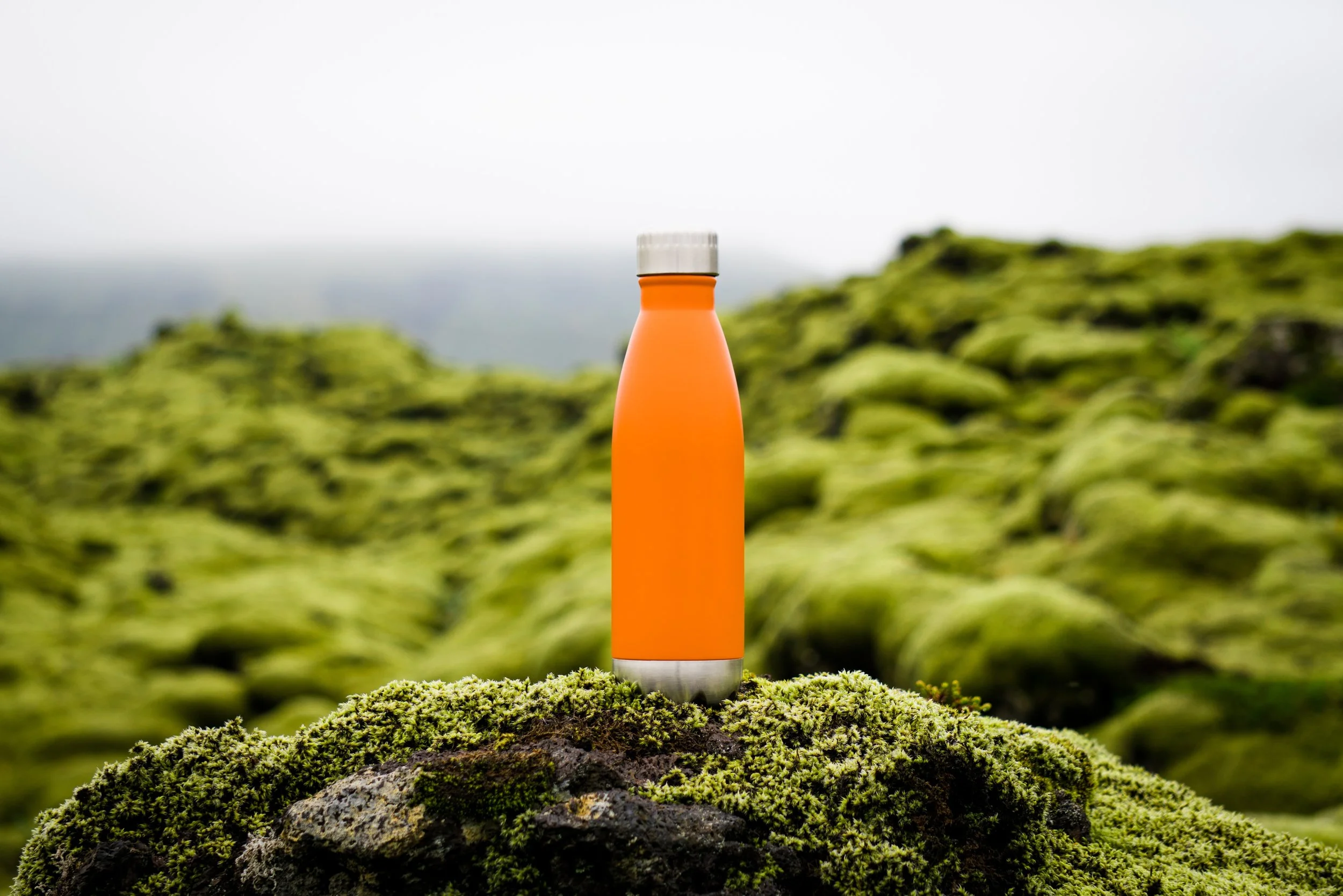 Photo by Martin Sanchez on Unsplash