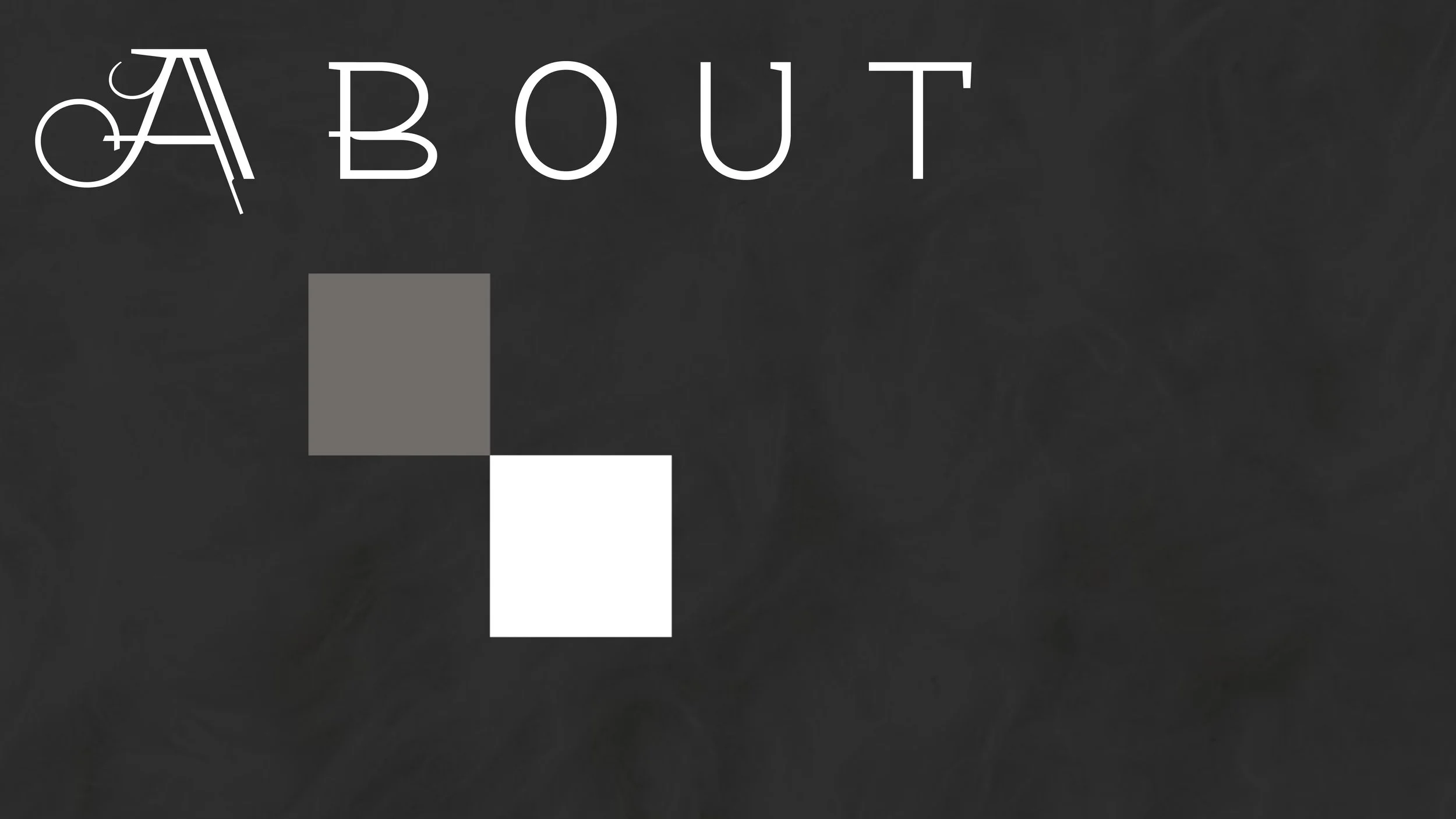 SARAH MONICK PORTFOLIO83.jpg