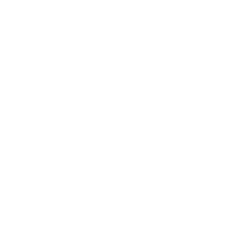 Disassembly