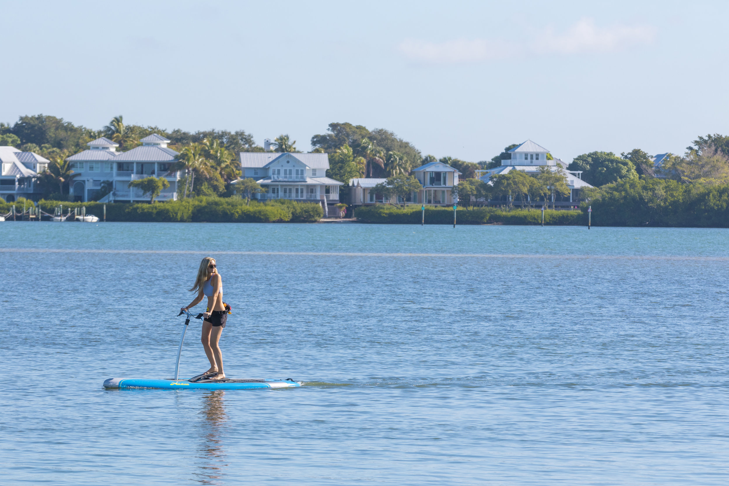 Eclipse_action_blue_FL_Erin_coastal_houses_9363_full.jpg