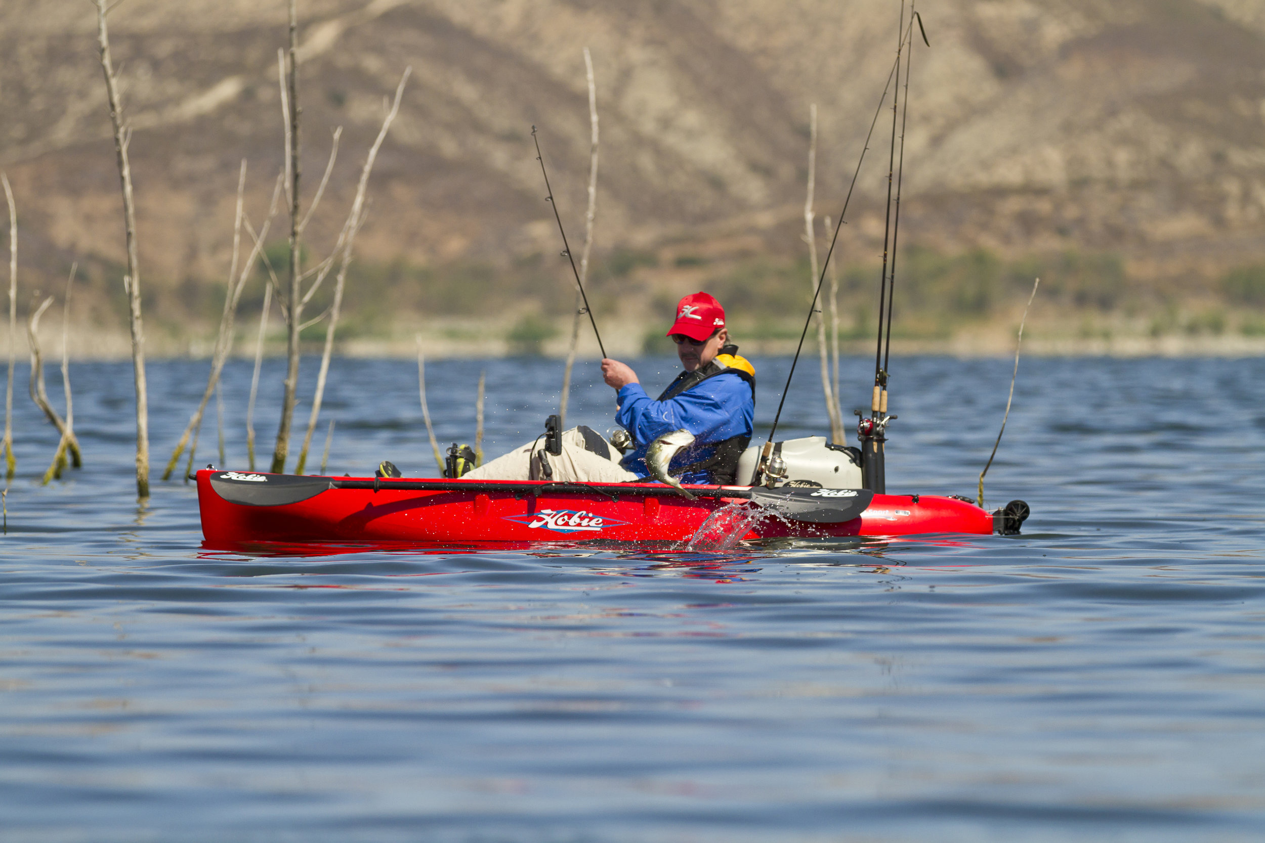 sport-action-fish-red-cal-02-full.jpg