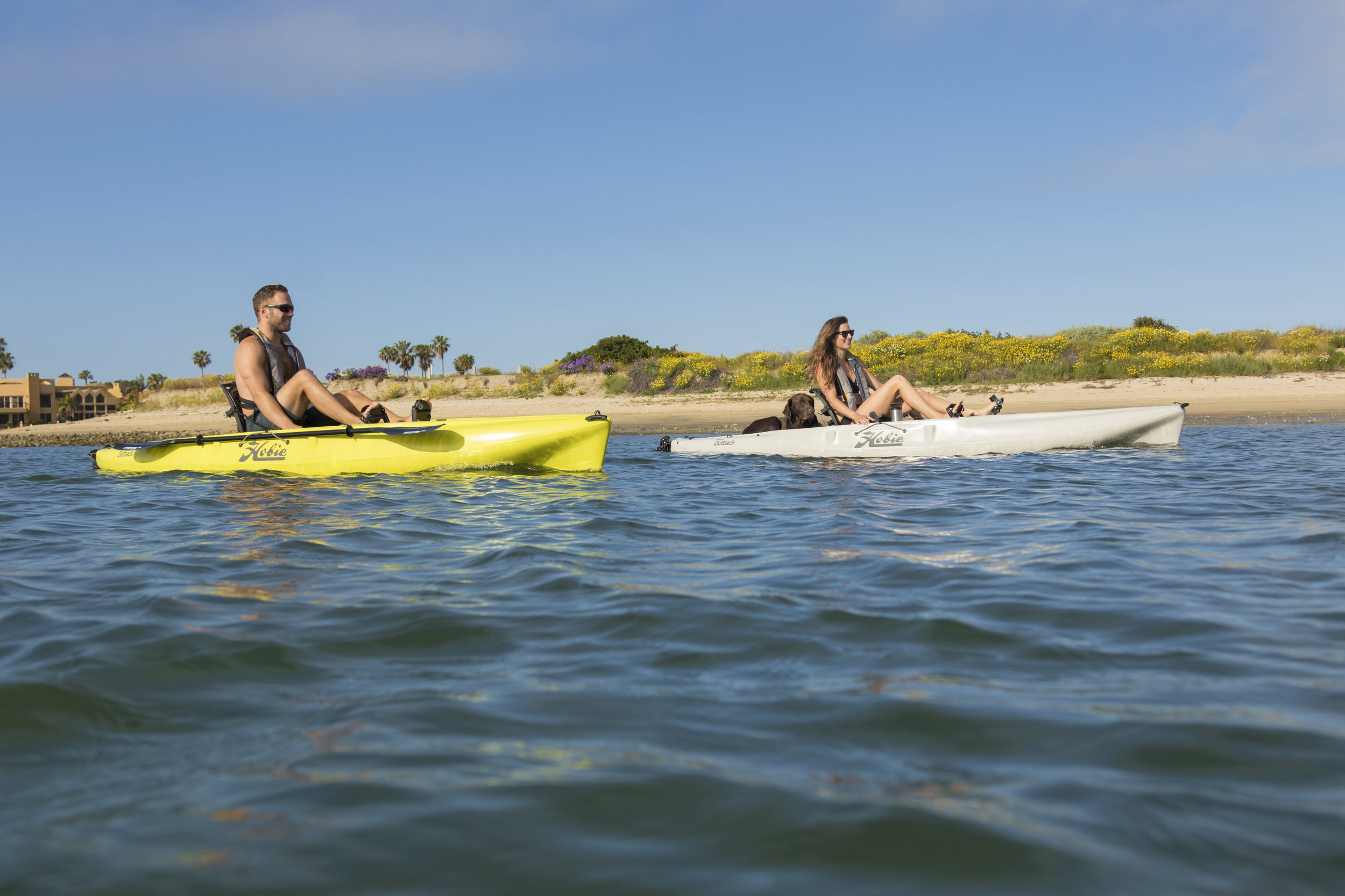 Outback_action_couple_dog_beach_seagrass_dune.jpg