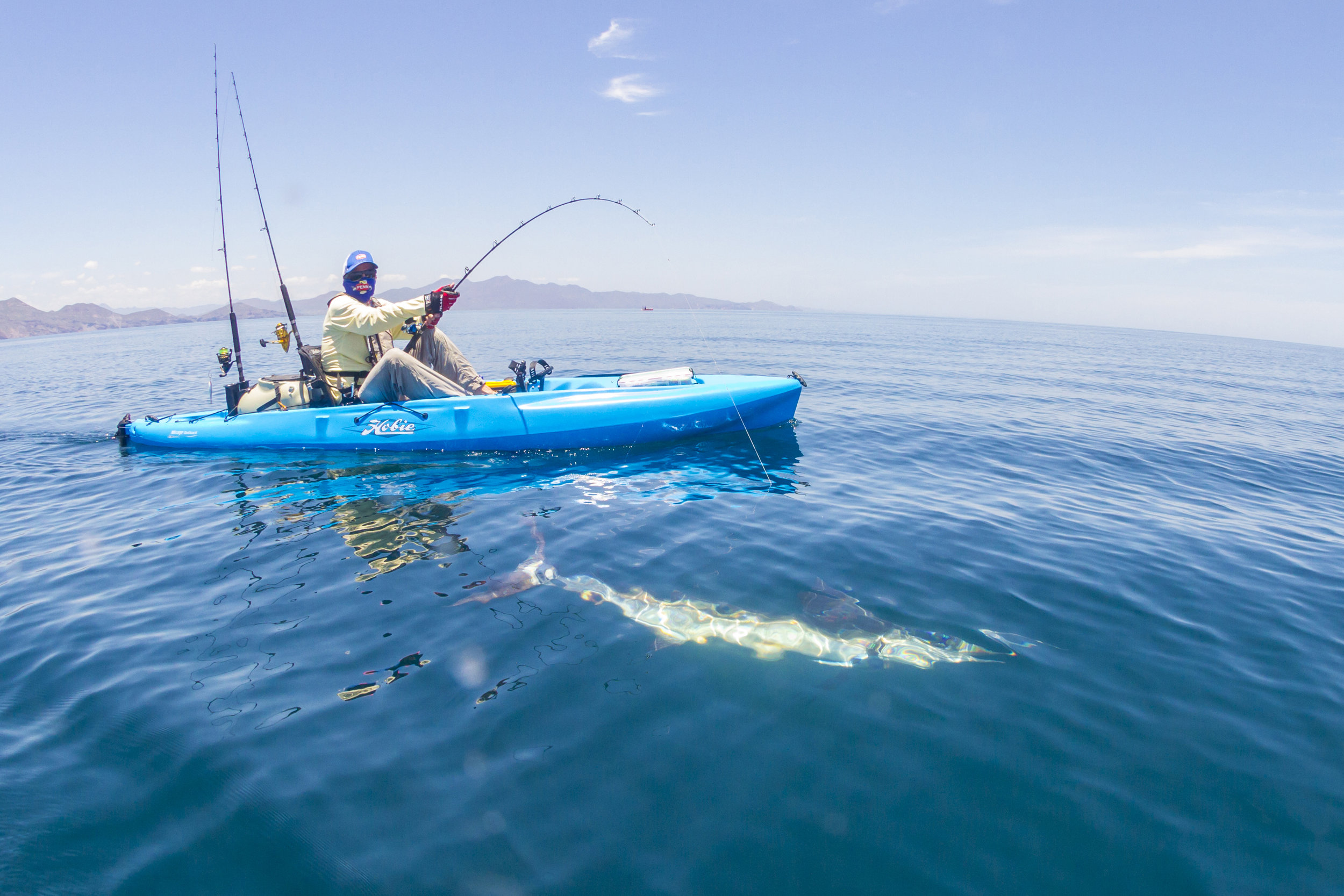 Outback_action_fishing_marlin_ocean_blue_tow_4477_full.jpg