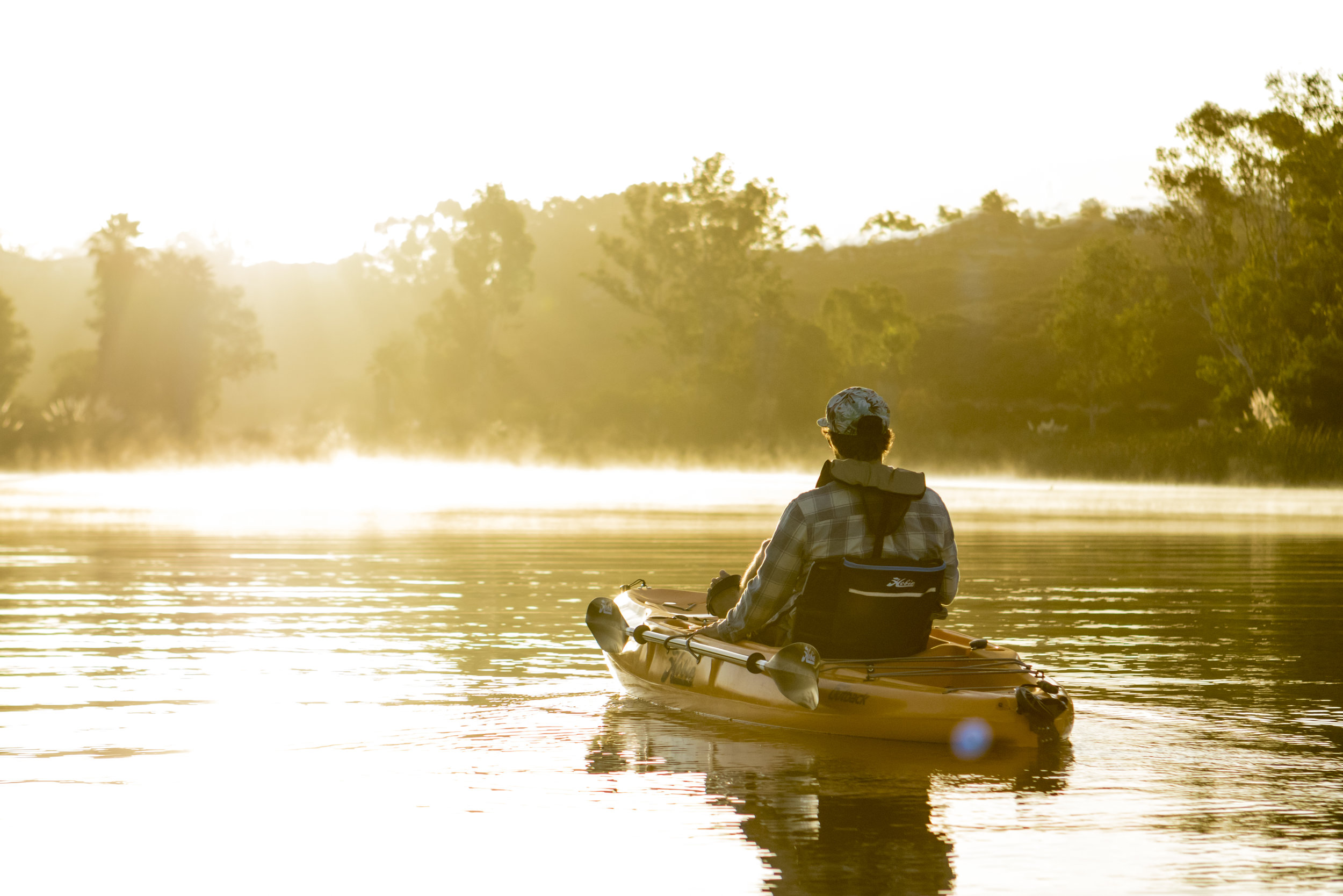 Outback_action_sunrise_fog_mist_papaya_male.jpg