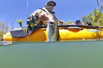 revolution11-action-fish-04-thumb150.jpg