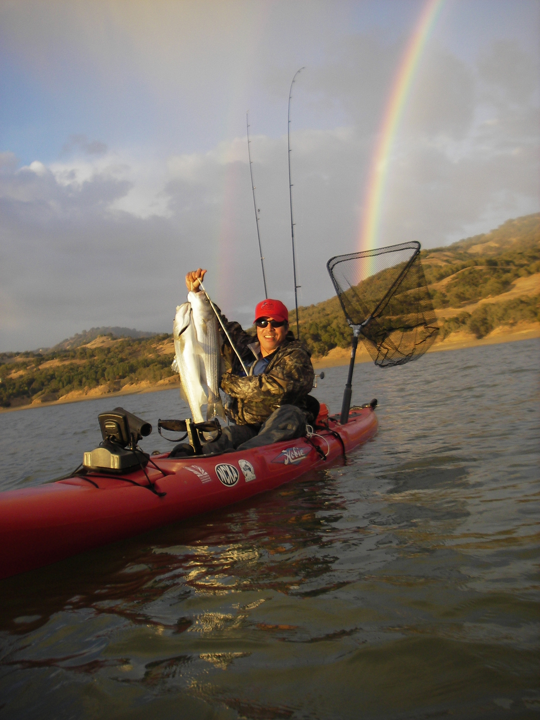 adventure-action-fish-10-full.jpg