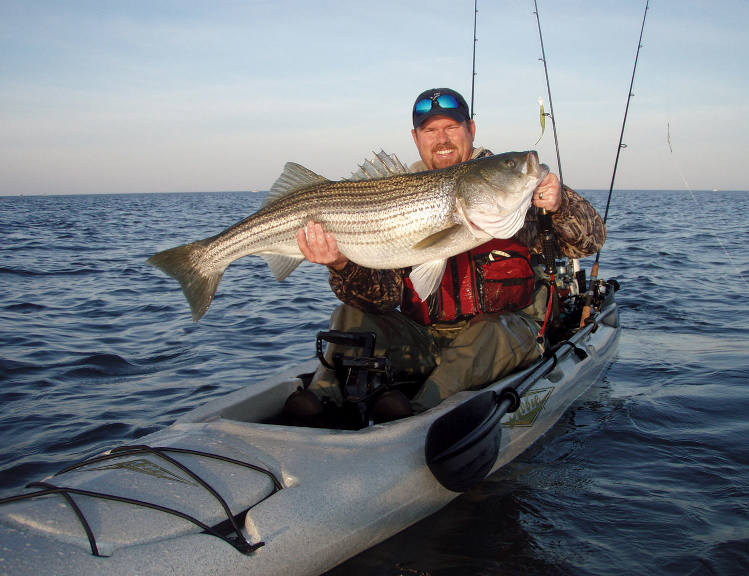 adventure-fish-action-02-full.jpg