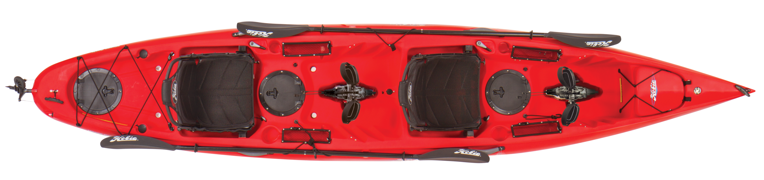 oasis_studio_topView_hibiscus_MD180_full.png