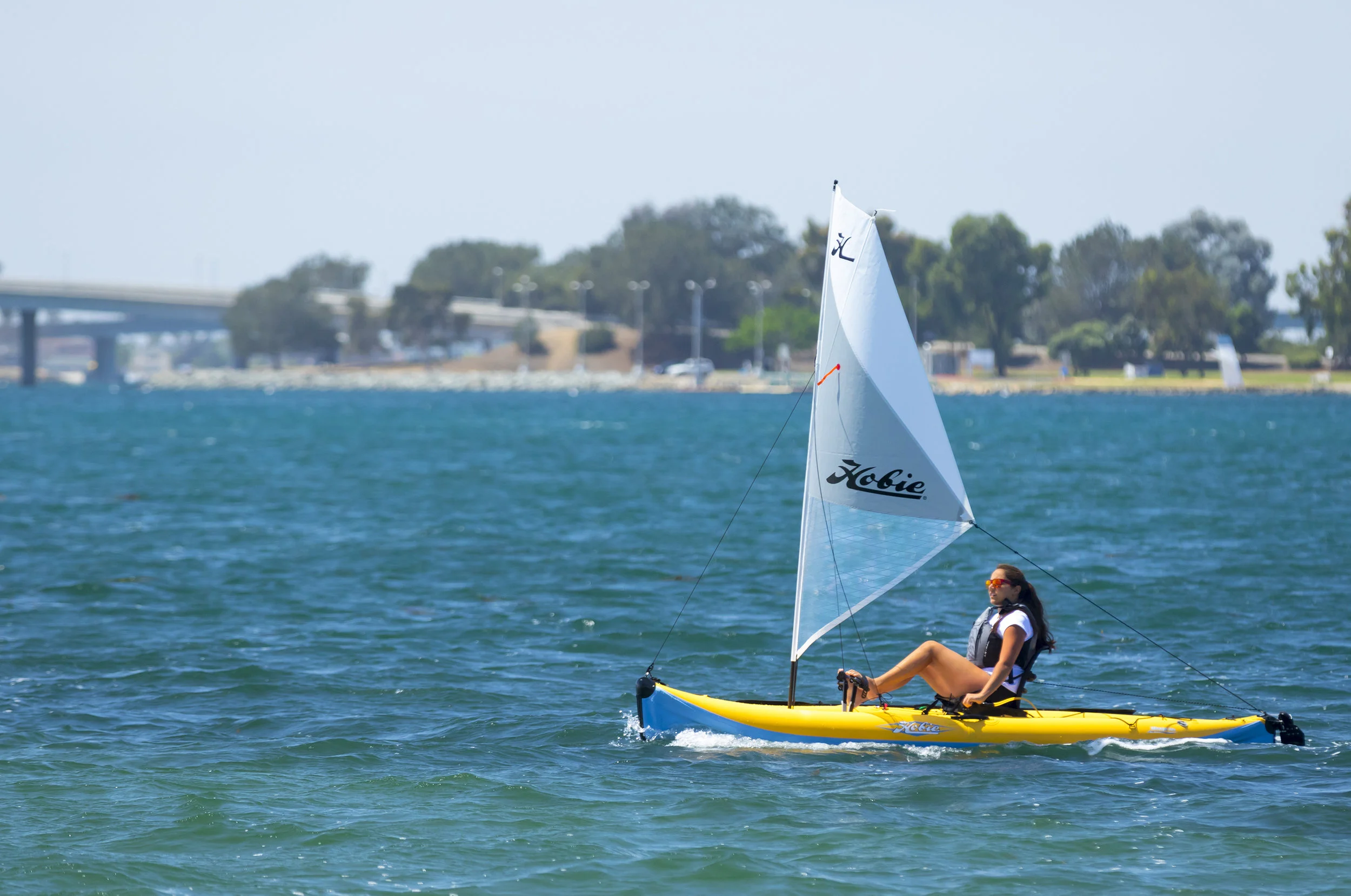 i12S-action-vantage-sailkit-bridge-lg.jpg