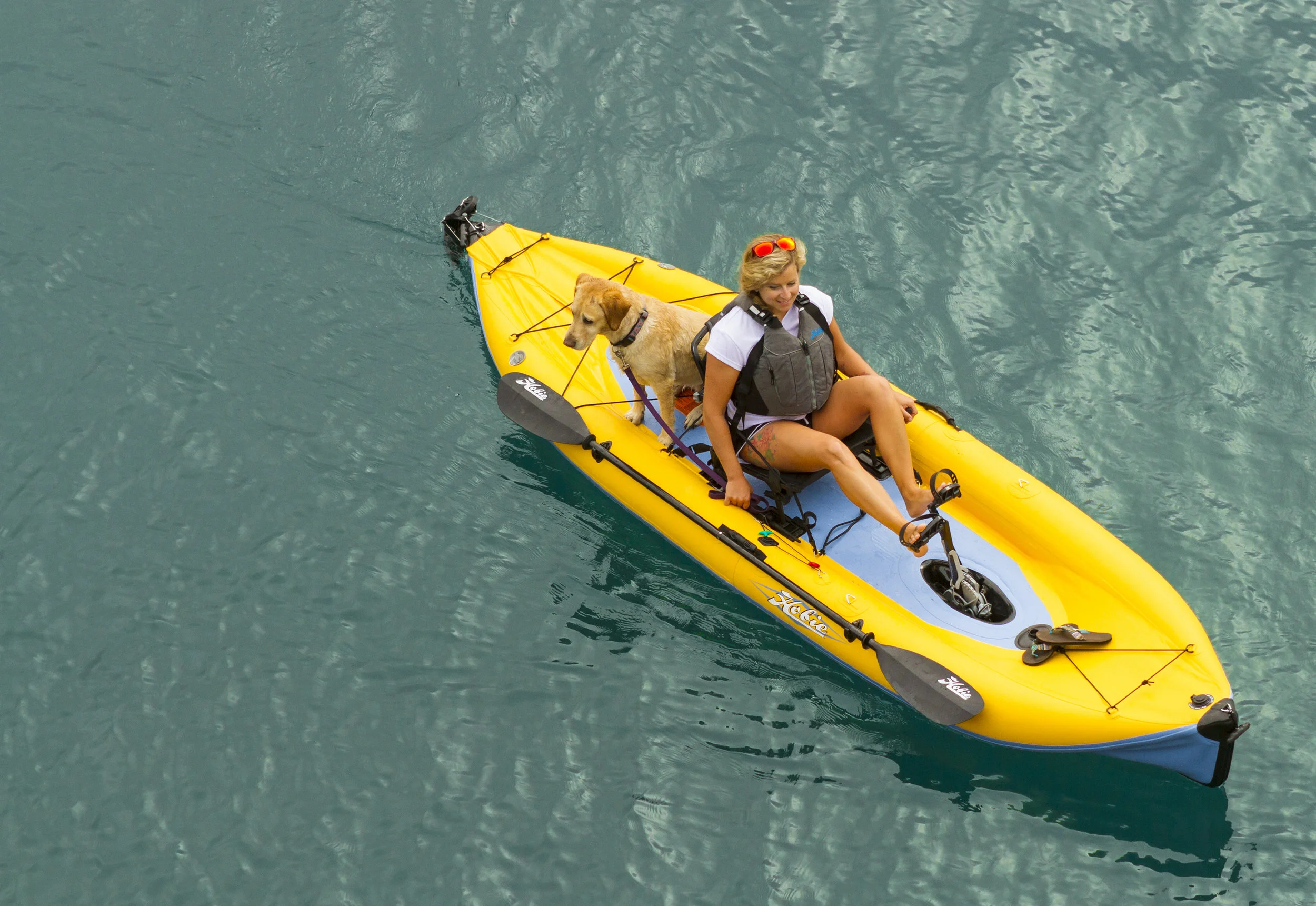 i12S-action-vantage-topview-dog-bay-lg.jpg