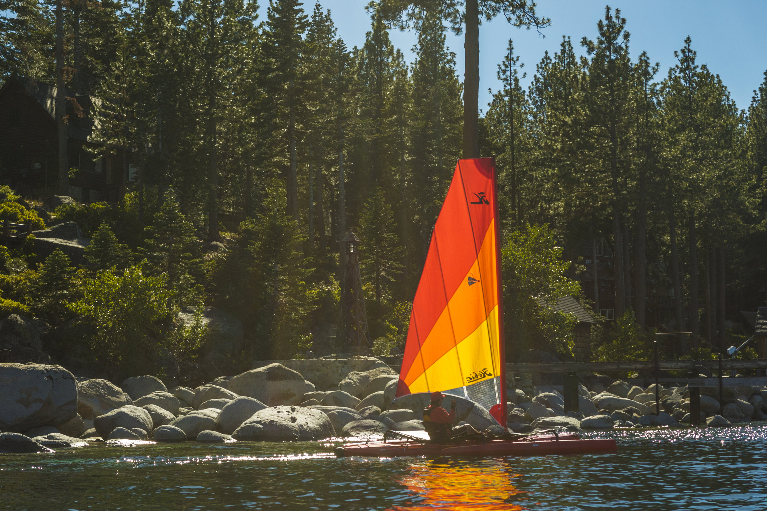 AdventureIsland_action_Tahoe_Red_forest_2809_full.jpg