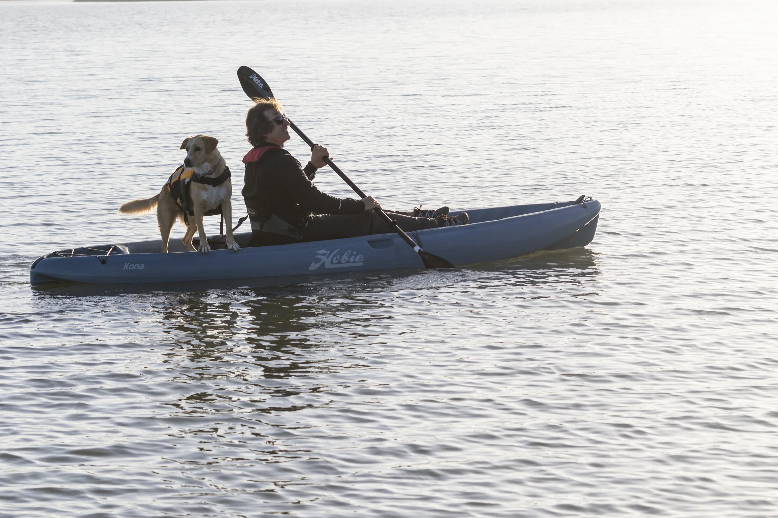 Kona_action_slate_male_dog_singleuser_overhead.jpg