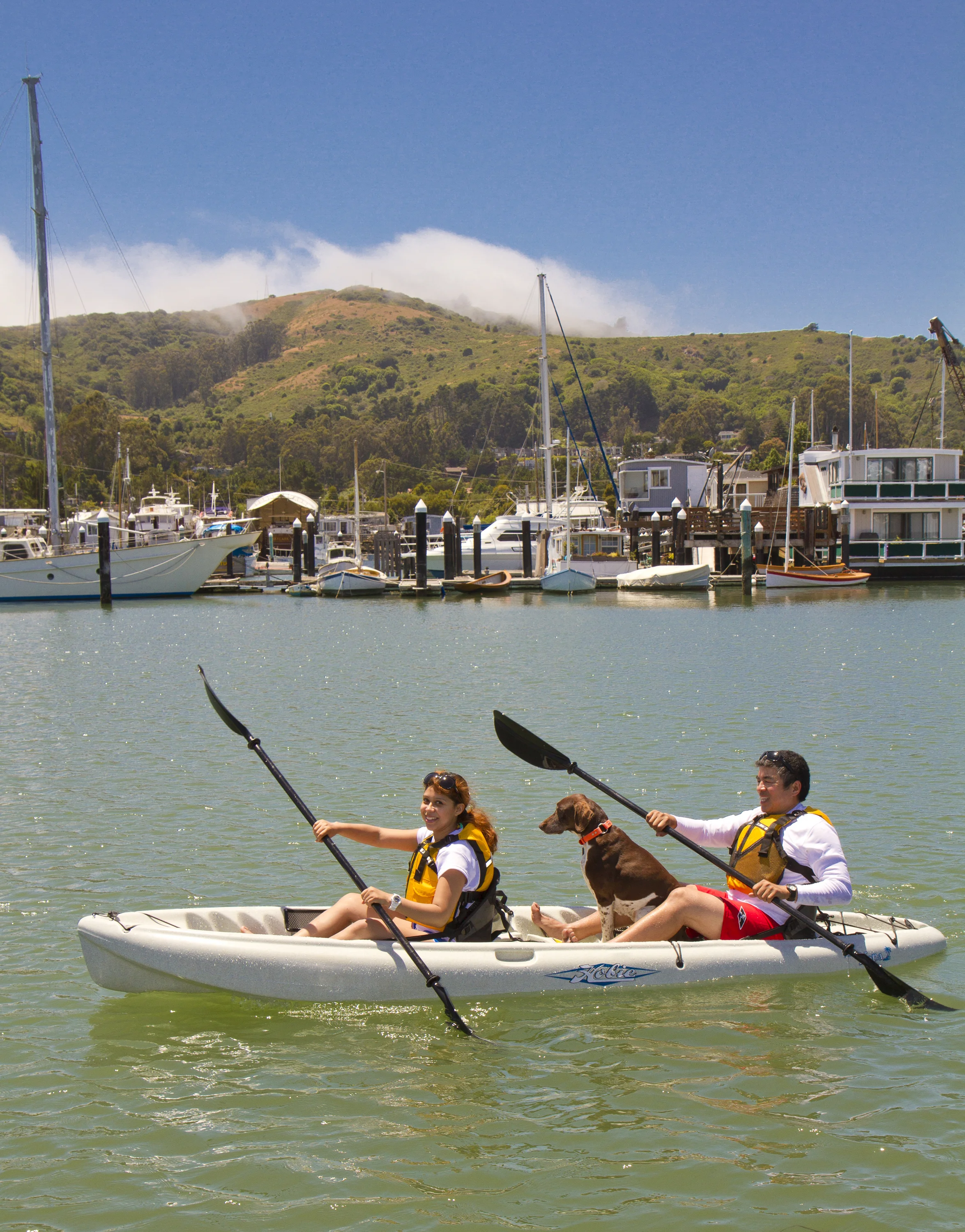 kona-action-08-full.jpg