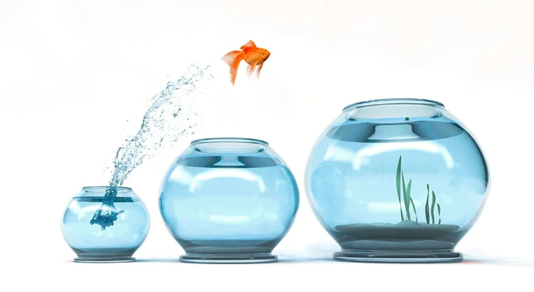 The #1 Reason to Sell Now Before Spring | Maryland