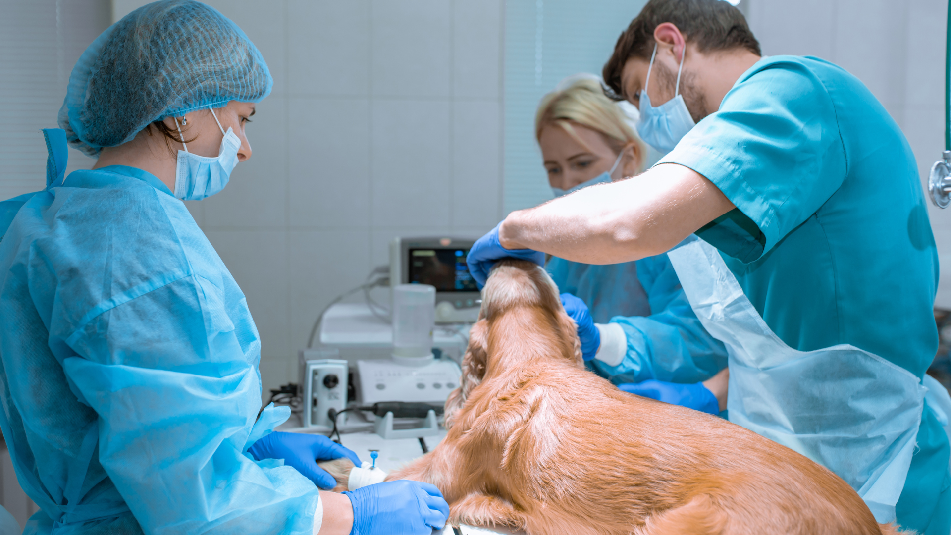 Why It May Be Time To Add Newly Built Homes to Your Search | 10 Best Physician Mortgage Loans in Iowa with 0% Down and No PMI