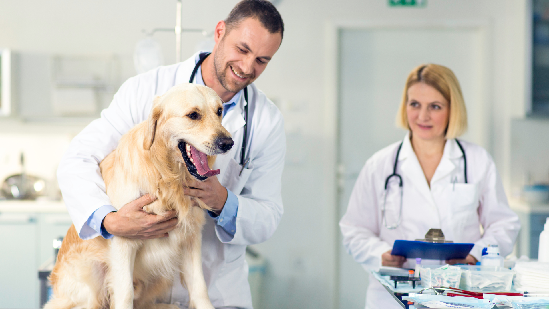 The Big Advantage If You Sell This Spring | Best Physician Mortgage Loans in Illinois with 0% Down and No PMI