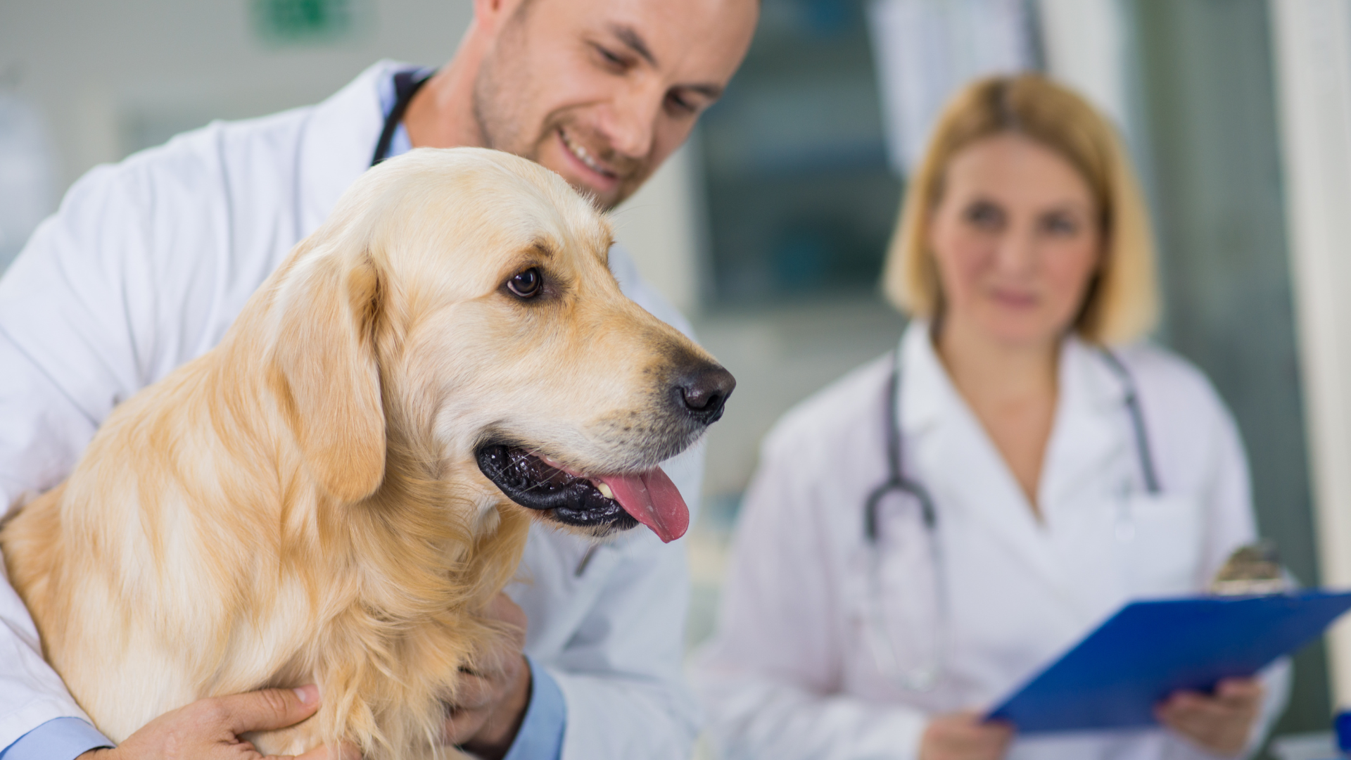 The Spring Market Is a Sweet Spot if You’re Looking To Sell | Best Physician Mortgage Loans with 0% Down and No PMI