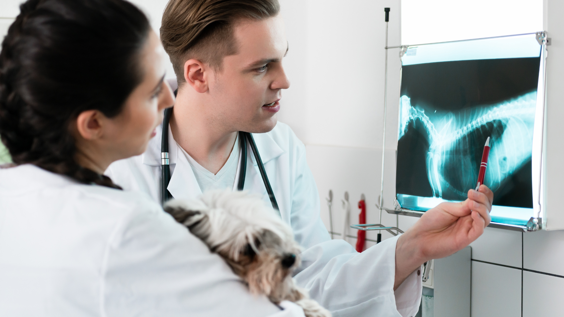 Why Buying a Home Now Is Your Winning Play | Best Physician Mortgage Loans with 0% Down and No PMI