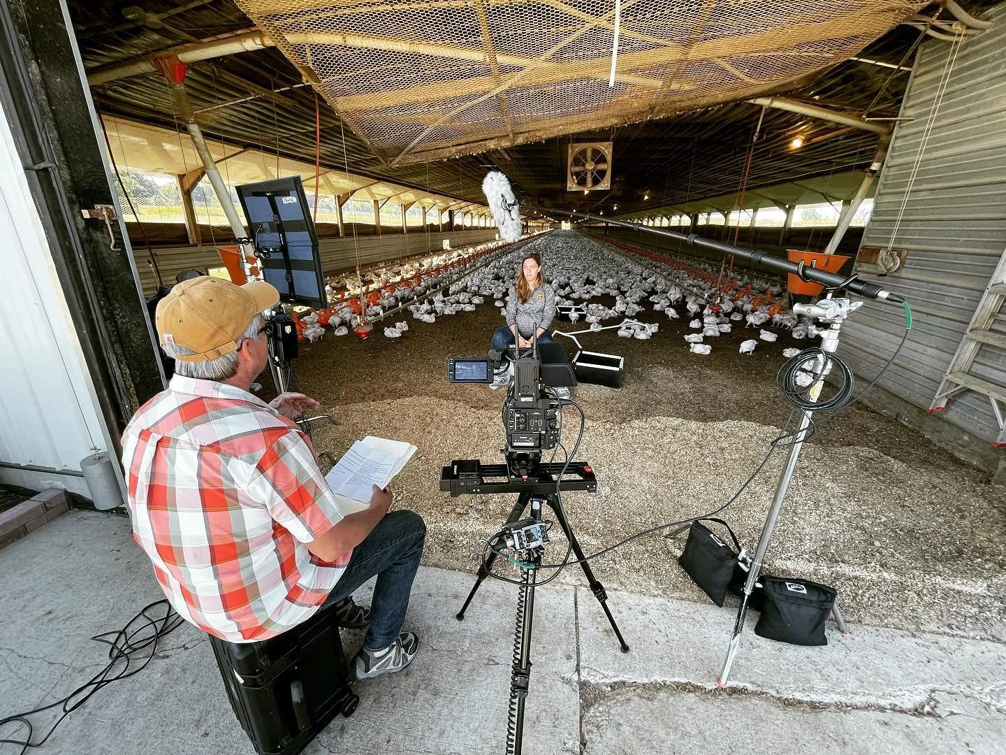 Filming on the farm today!