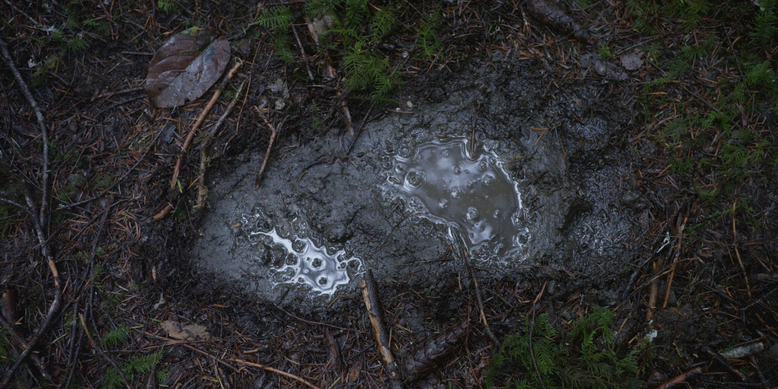 BIG LEGEND Still - Footprint.jpg