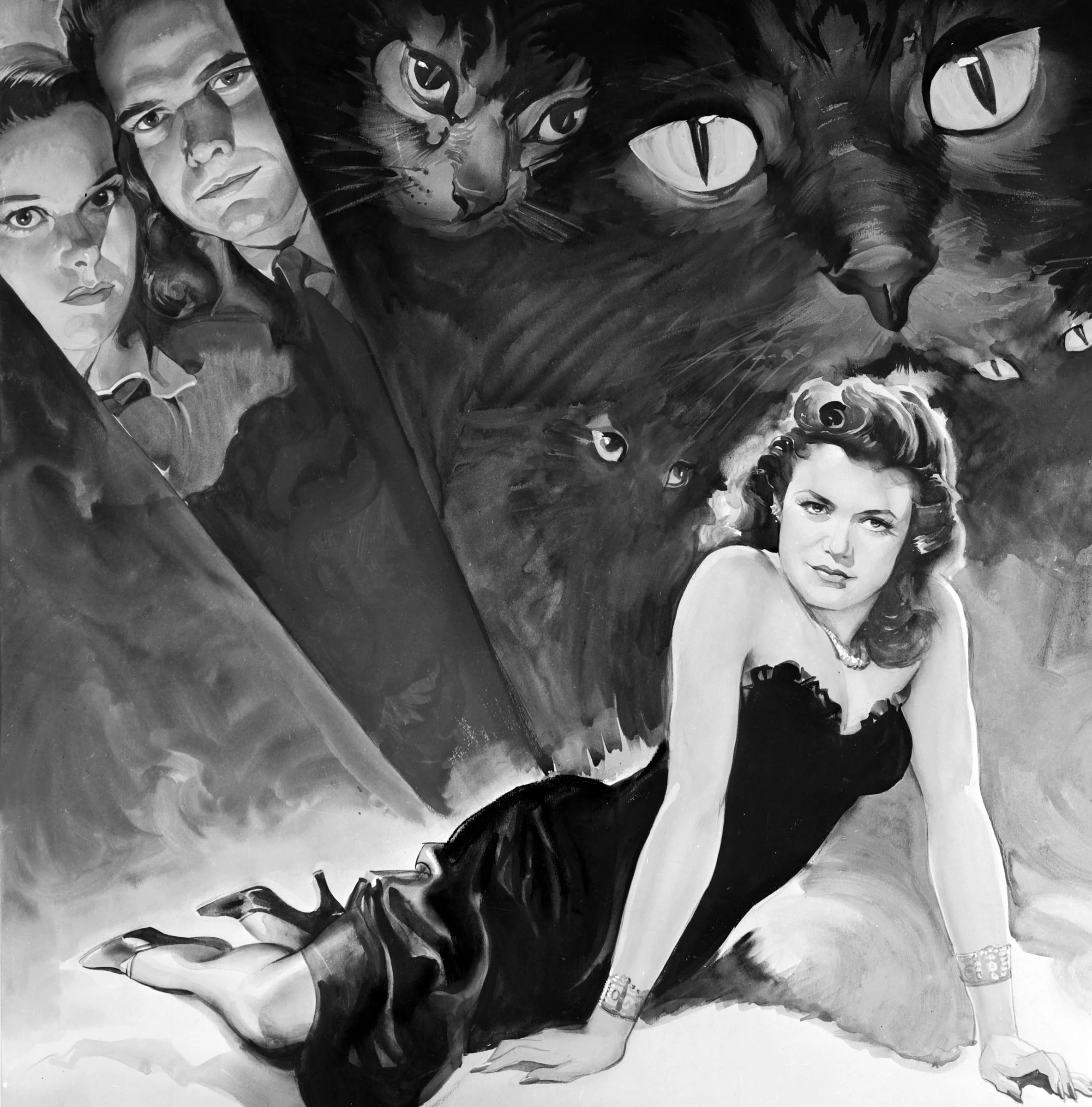 5cat.jpg