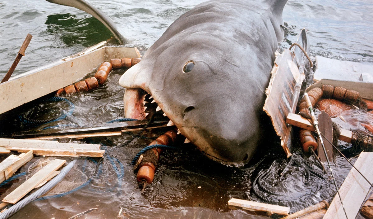 jaws3.jpg