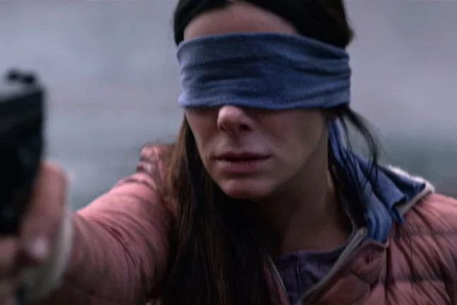 birdbox.jpg