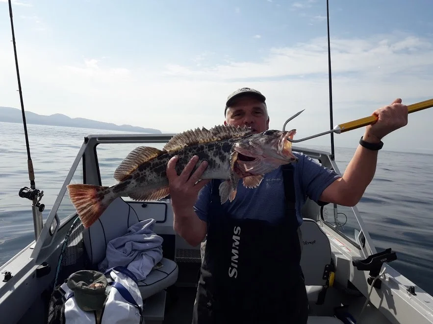 20180104 ling cod file pic.jpg