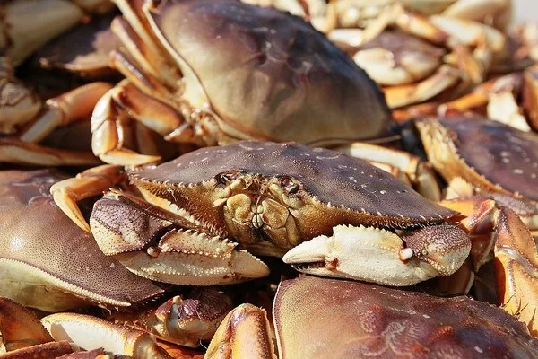 20180117 Crab article pic.jpg