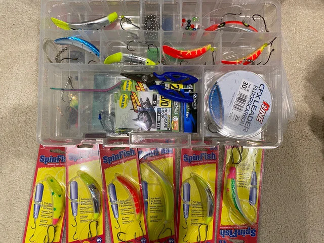 Spinfish.jpeg