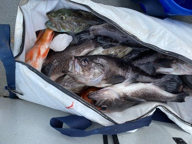 Spring Inaugural fishing/crabbing at Garibaldi May 22 and 23