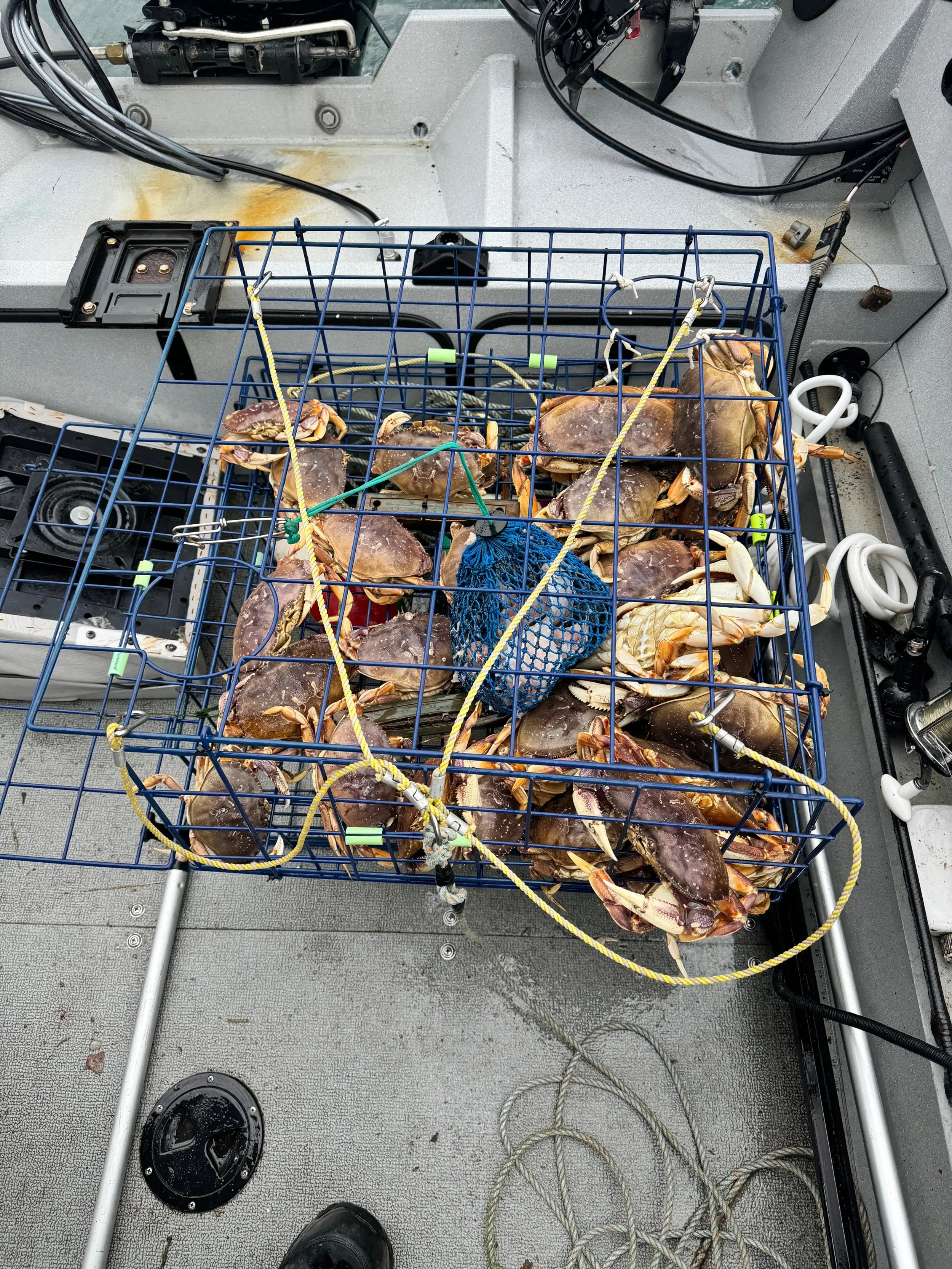 Aug 17th Salmon and crab