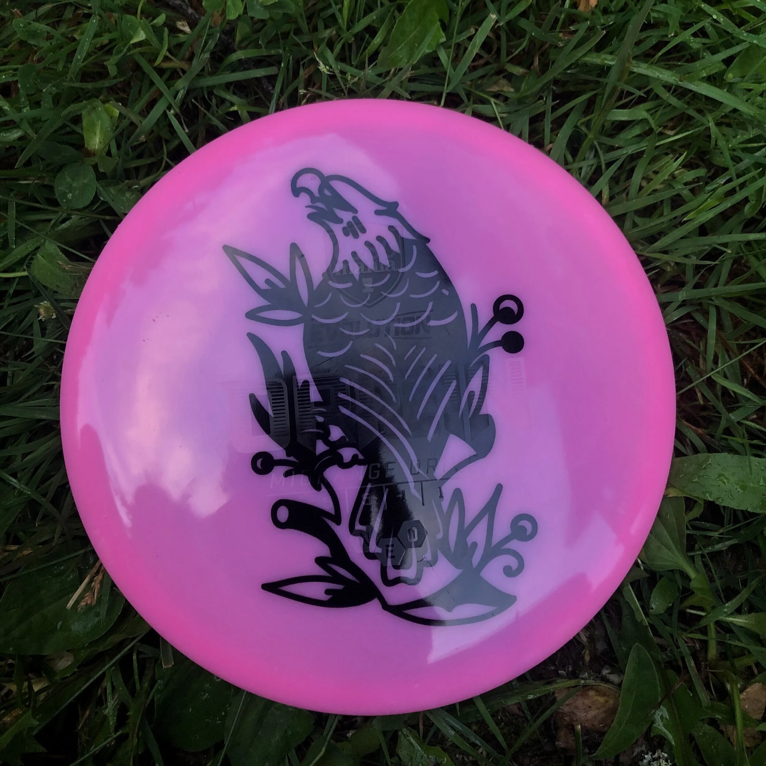Timber Disc Golf — the Timber Tattoo Co