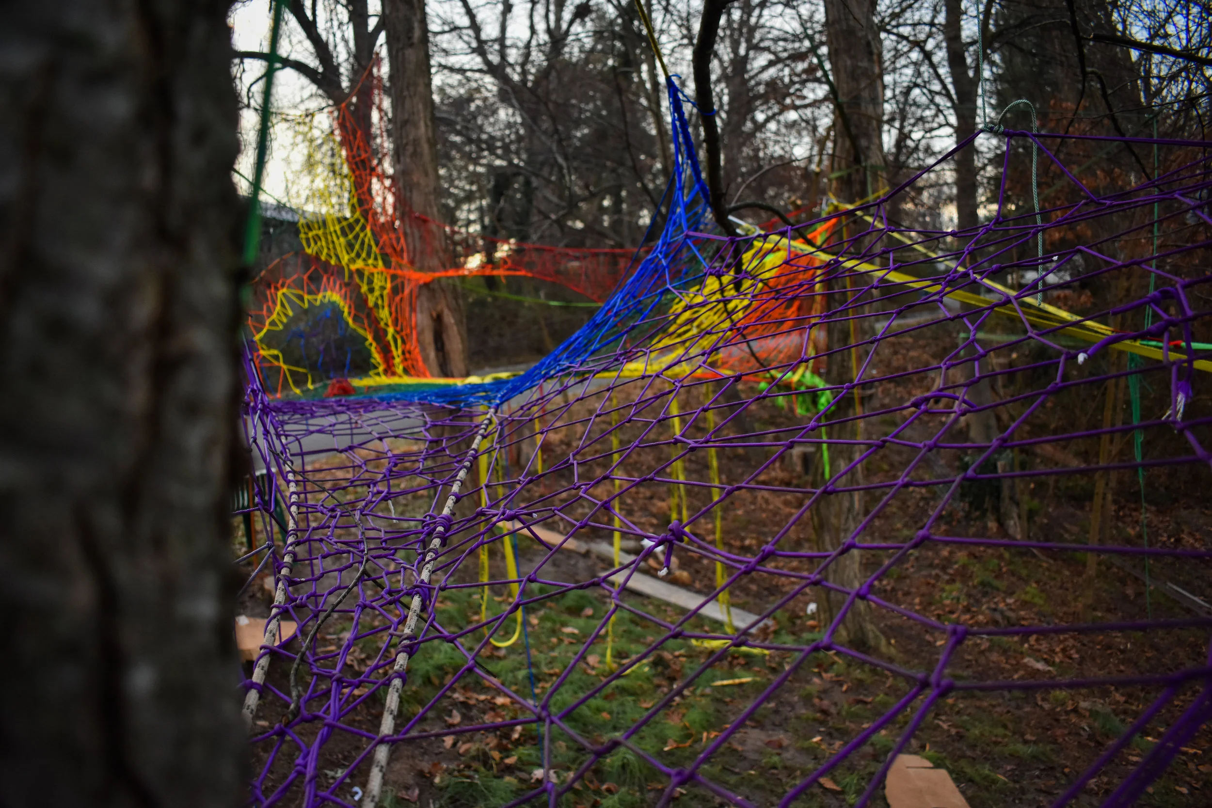 DSC_0838.jpg