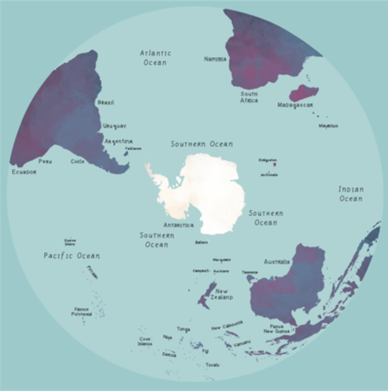 Tree Weaves is Taking Clients in the Southern Hemisphere from Late 2020 to Early 2021