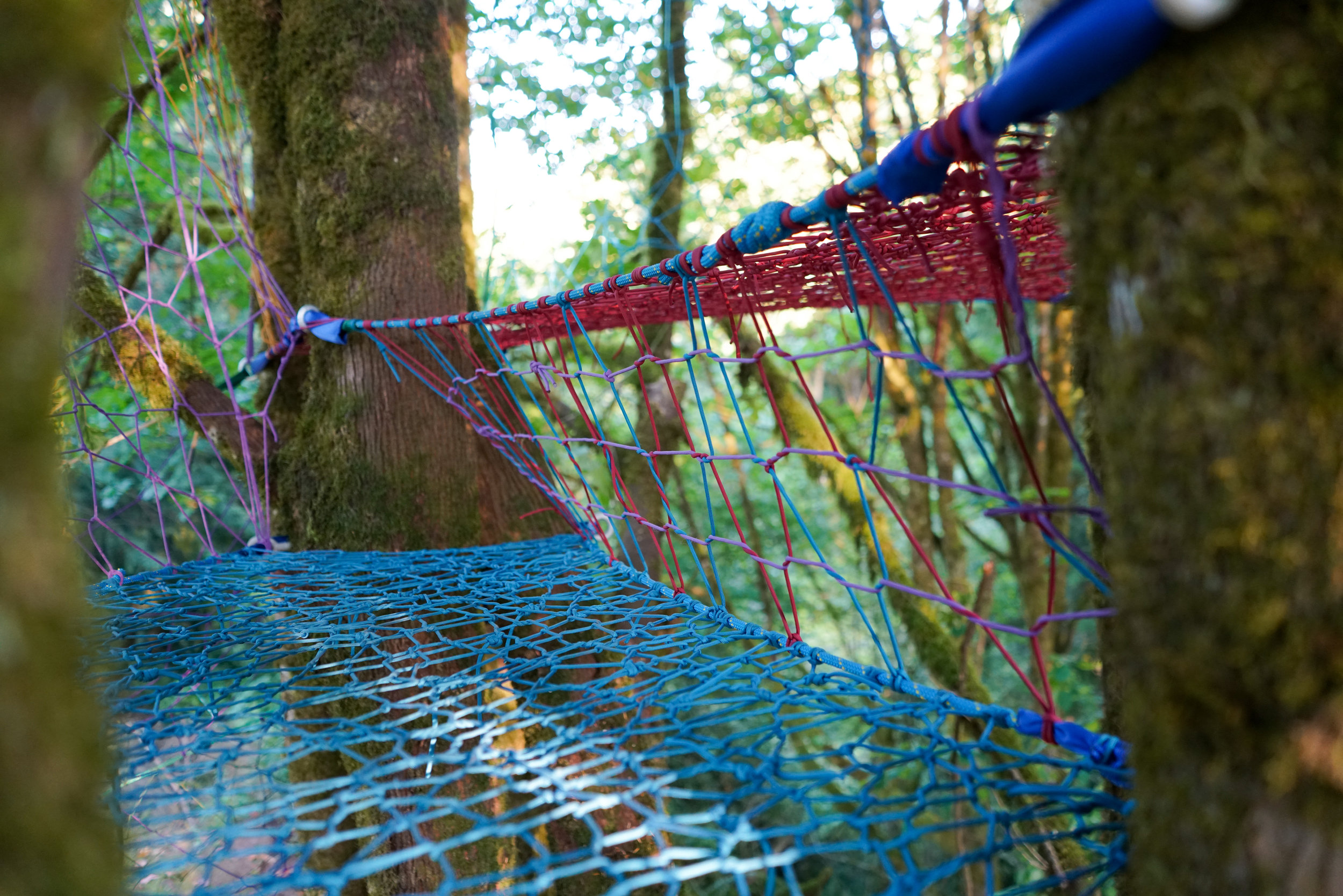 Unfvckwithable Weave, a Rope Treehouse in Seattle Washington