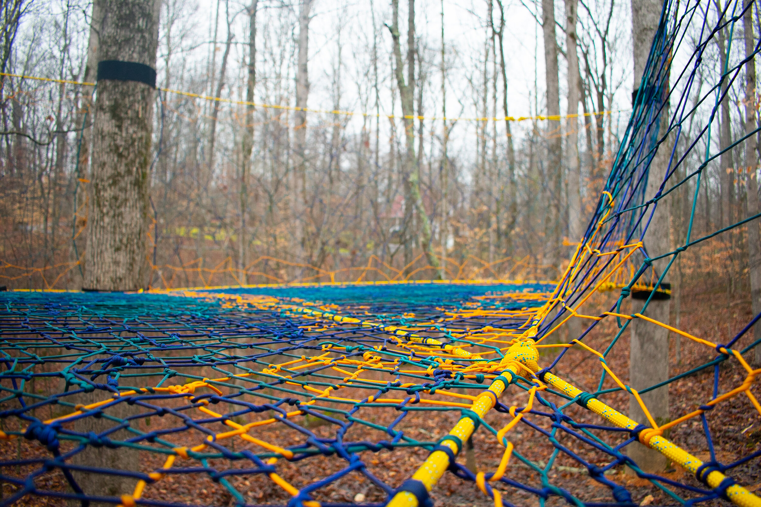 Yellow Treehouse.jpg