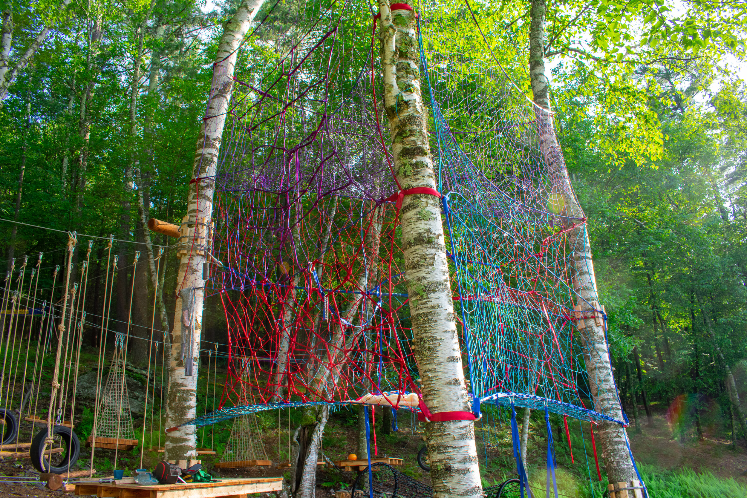 Colorful Treehouse.jpg