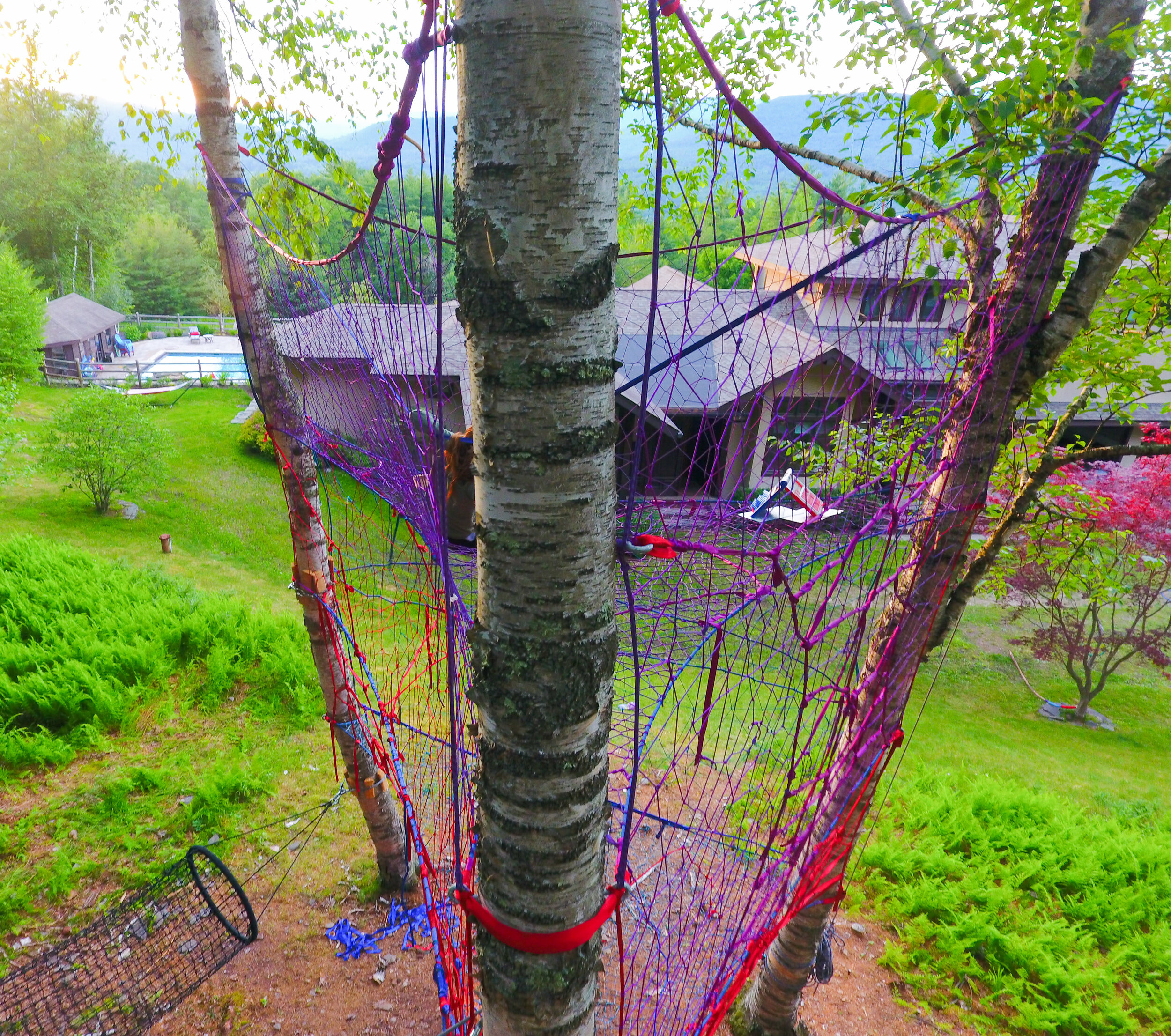 The Woodstock Tree Net — Tree Weaves