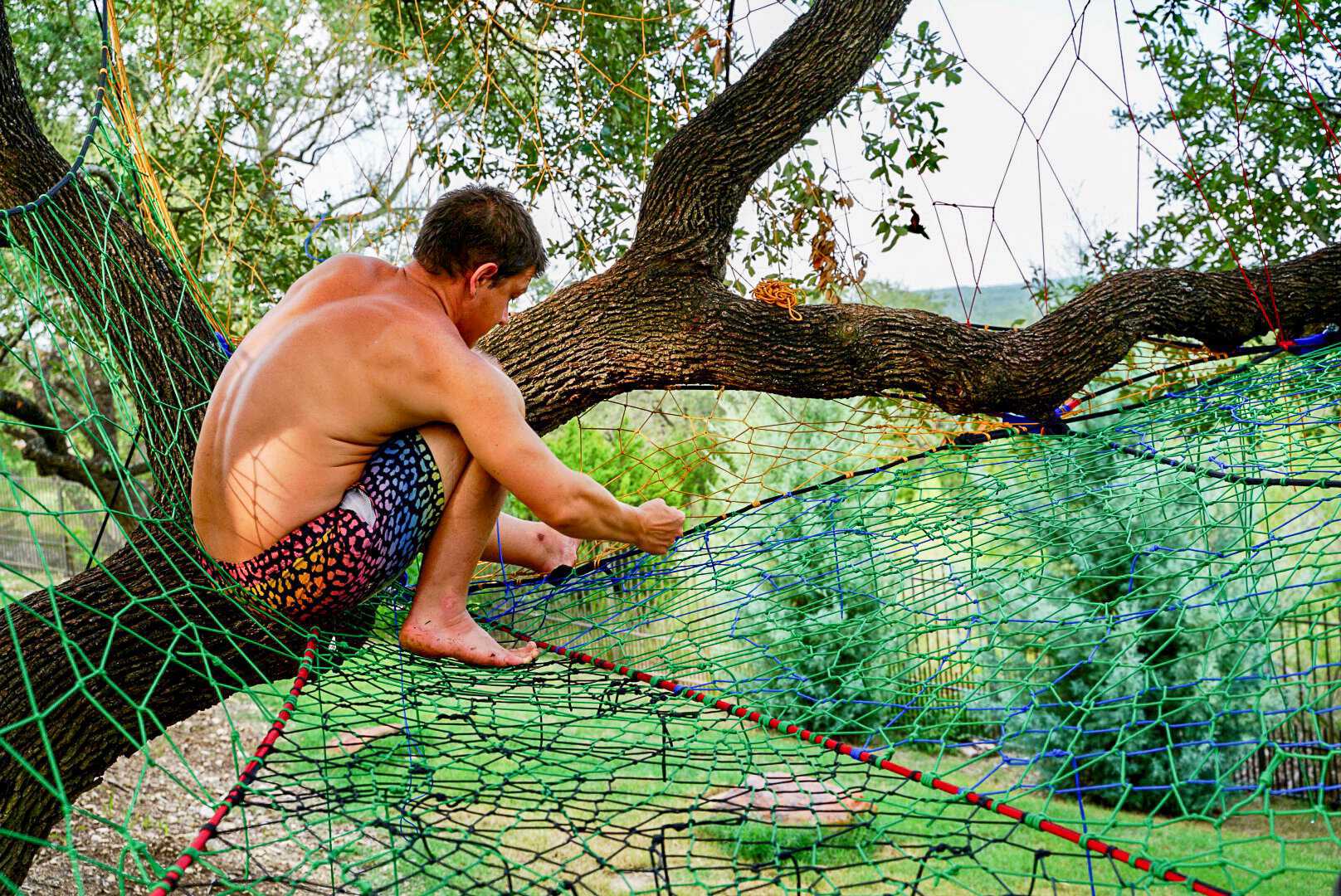 Six Oaks Tree Net — Tree Weaves