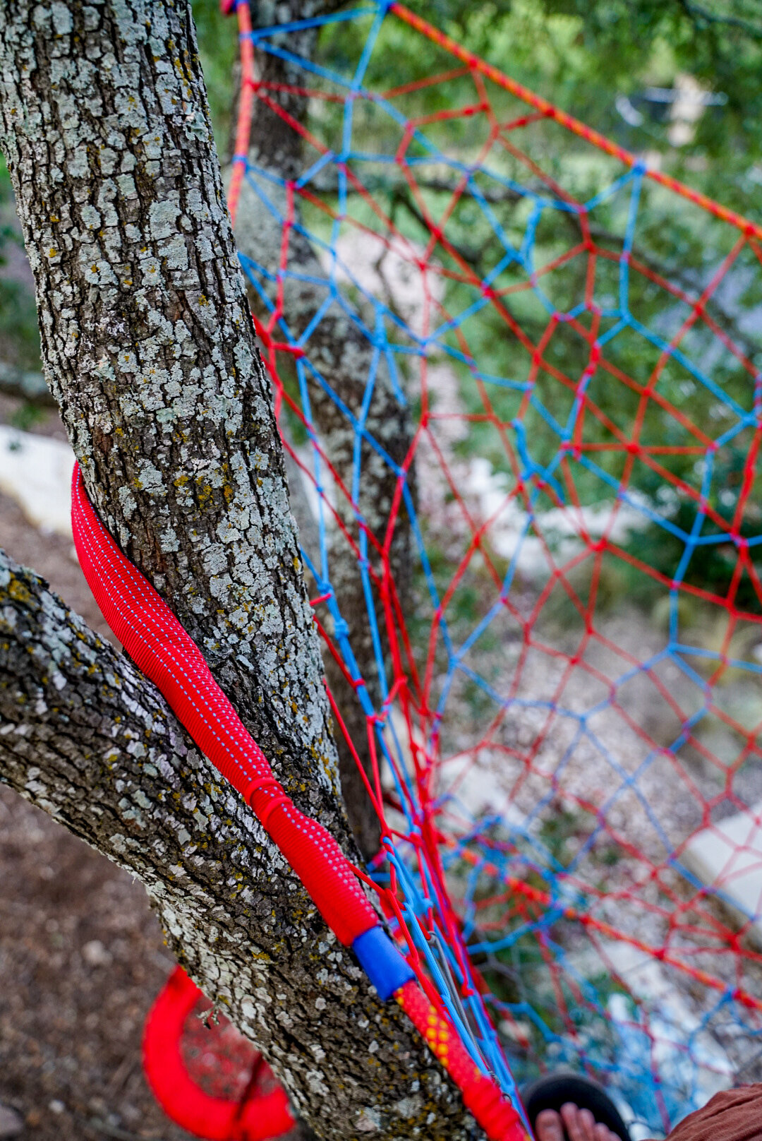 Camelback Tree Weave — Tree Weaves