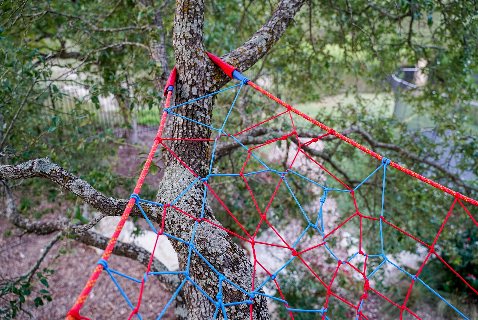 Camelback Tree Weave — Tree Weaves