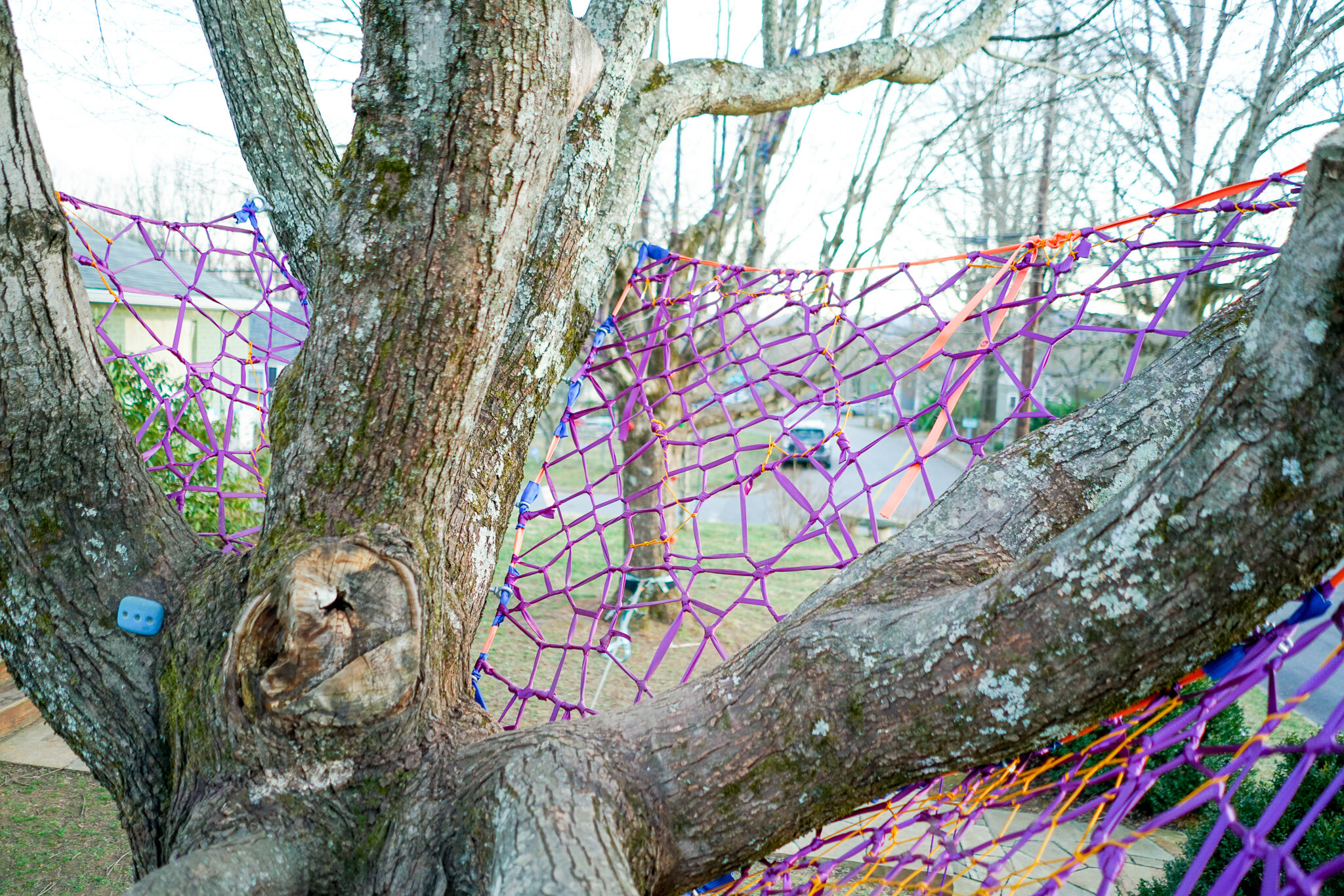 Do tree nets damage trees? — Tree Weaves