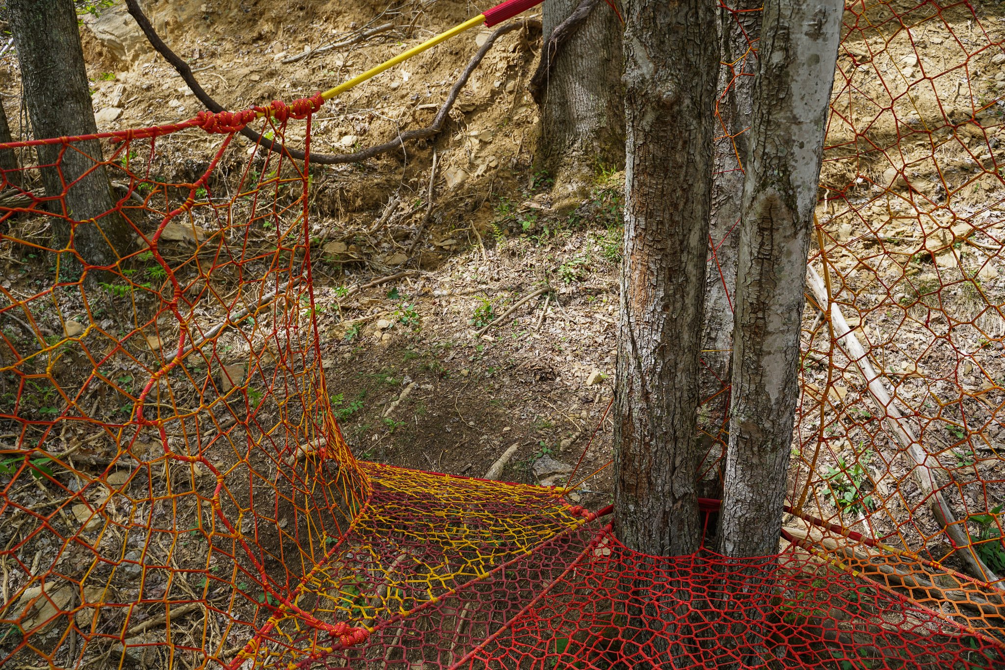 Elk and Embers Tree Net — Tree Weaves