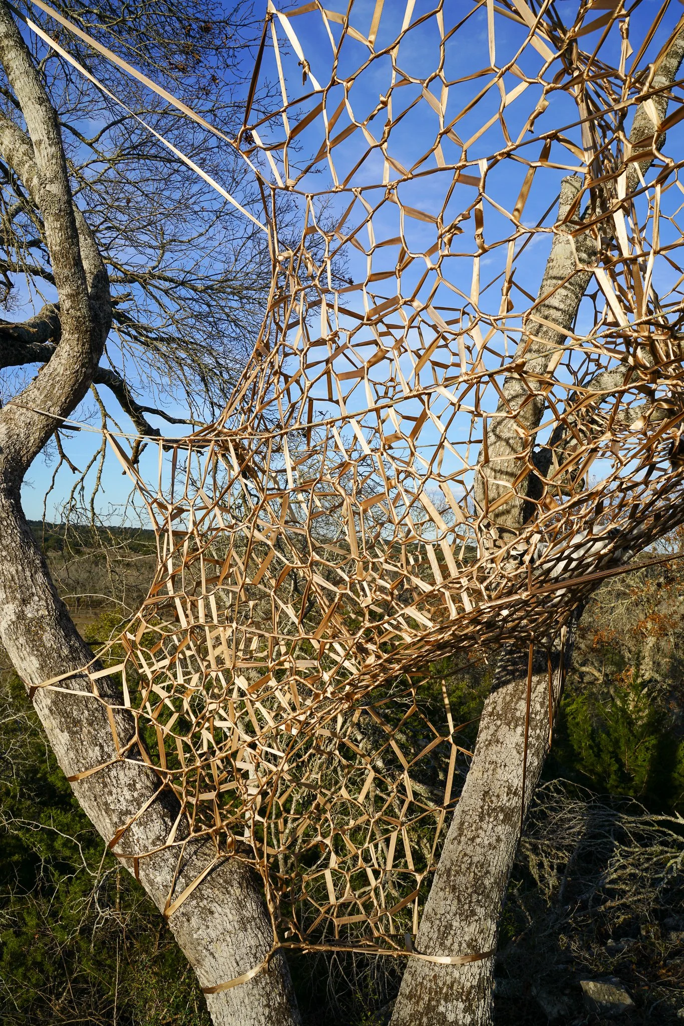 Tree Rope Weaving Tree Weaves