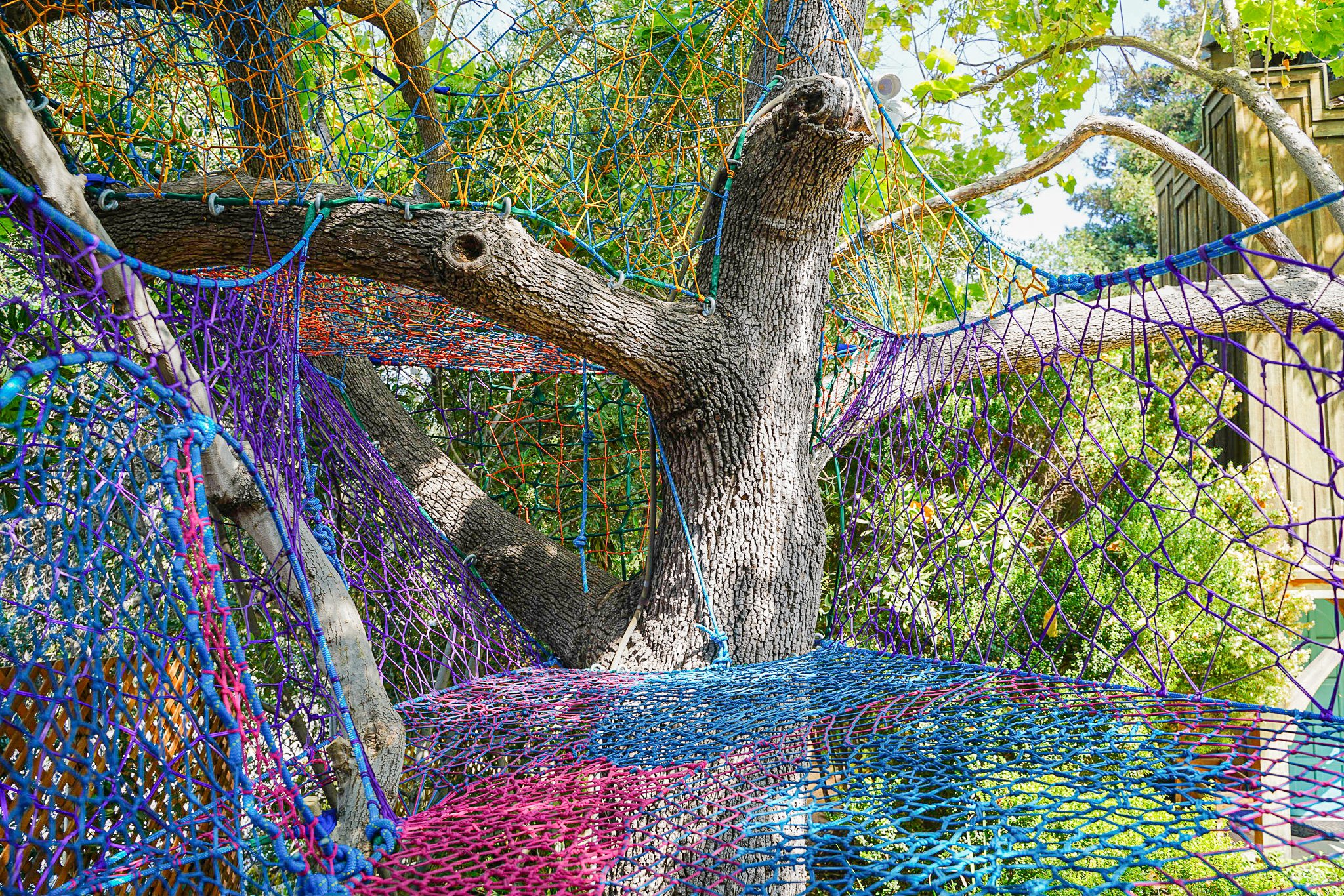 Tree Net Crow's Nest — Tree Weaves