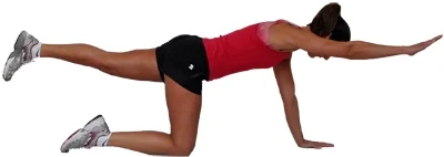 birddogexercise.jpg