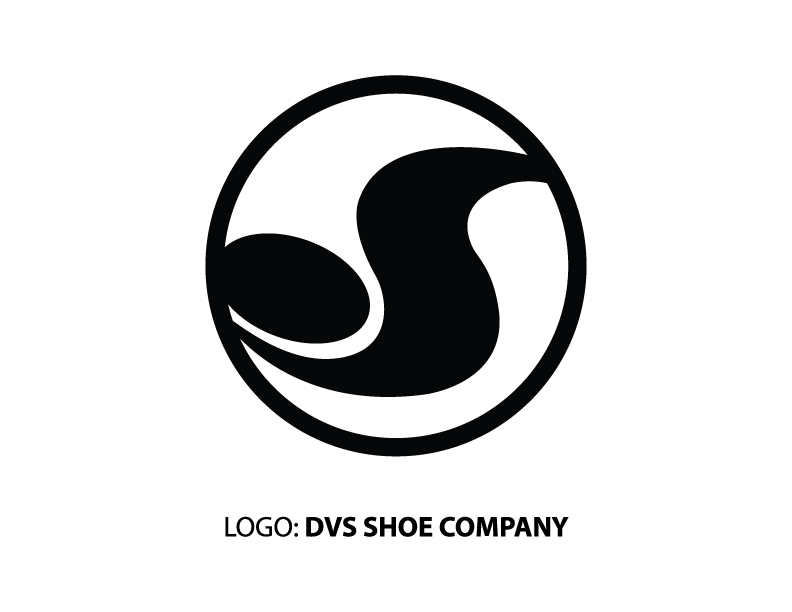 DVS_LOGO.png