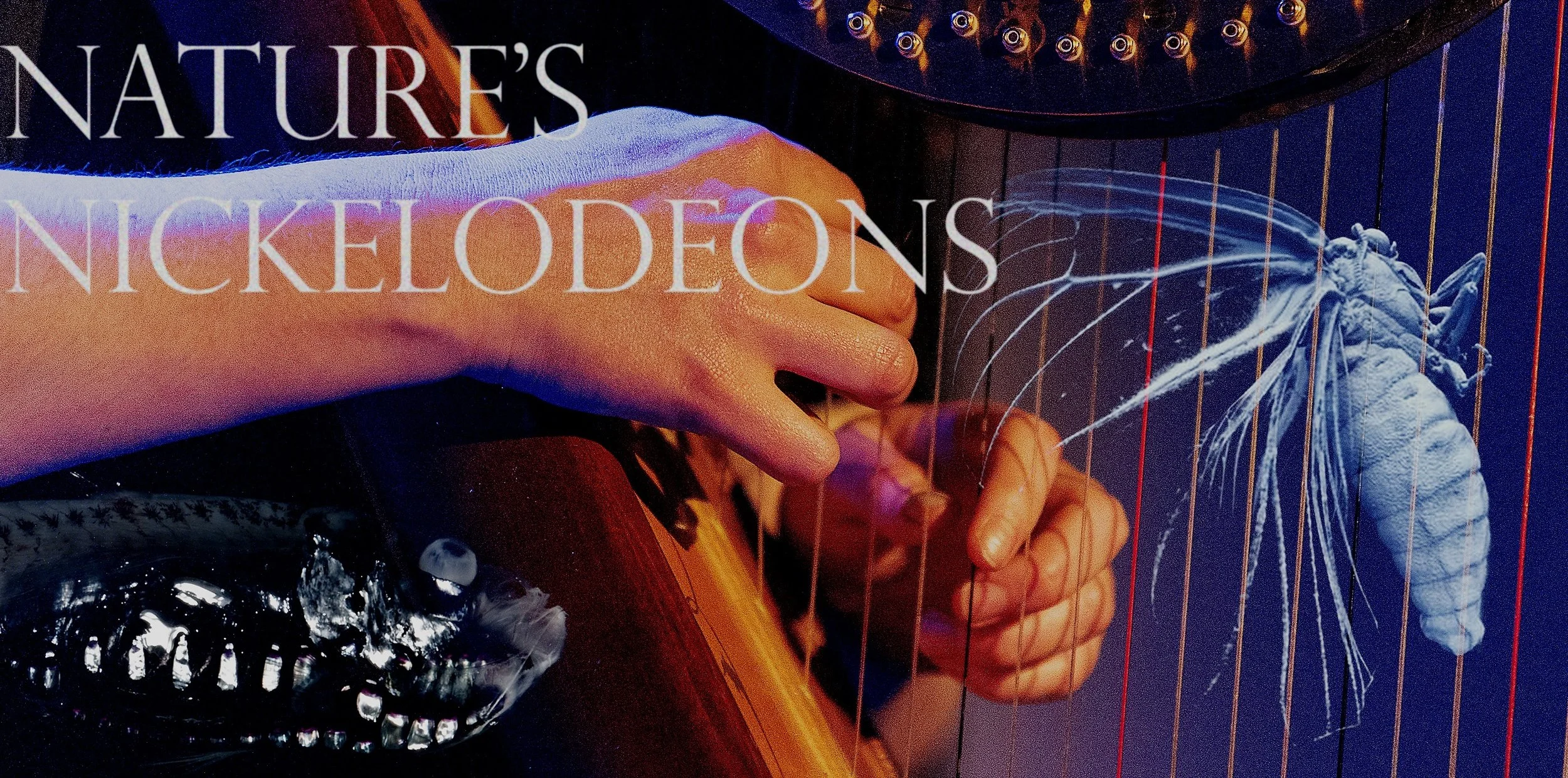 harp poster.jpg