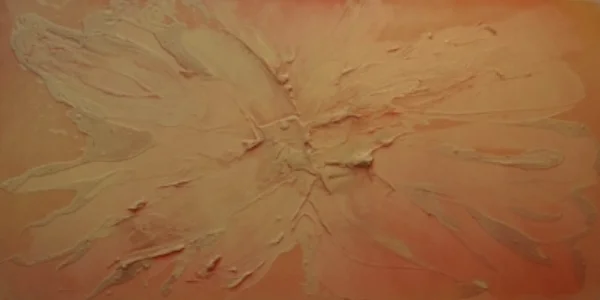 Starburst, 2005